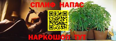 мдпв Пугачёв