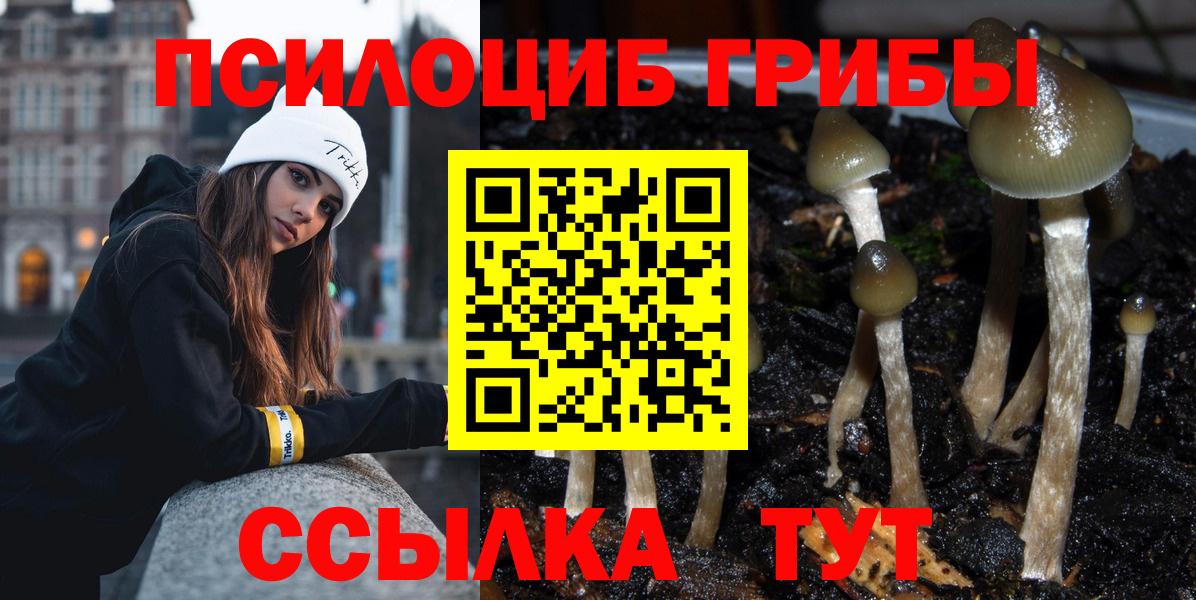 Галлюциногенные грибы Psilocybine cubensis  Вход с VPN  Ростов-на-Дону 