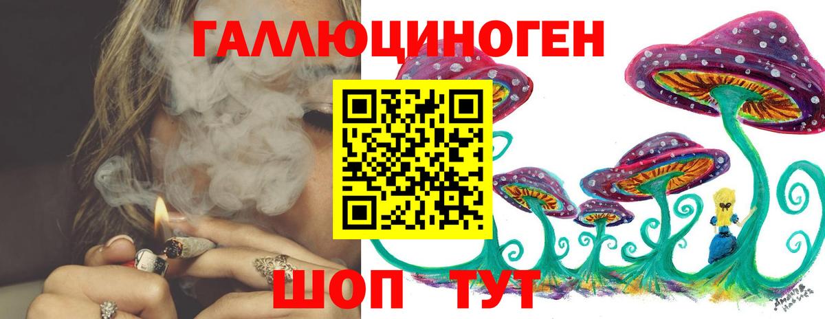 Галлюциногенные грибы Psilocybine cubensis Ростов-на-Дону